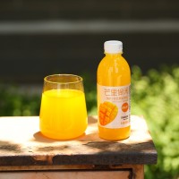 百樂(lè)洋芒里偷閑芒果味果味飲料360ml